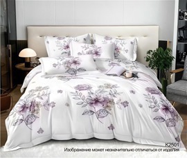 КПБ полисатин с простыней Pandora